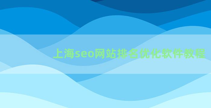上海seo网站排名优化软件教程