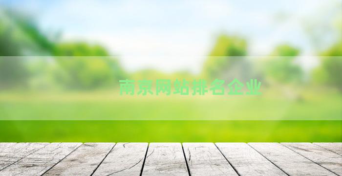南京网站排名企业