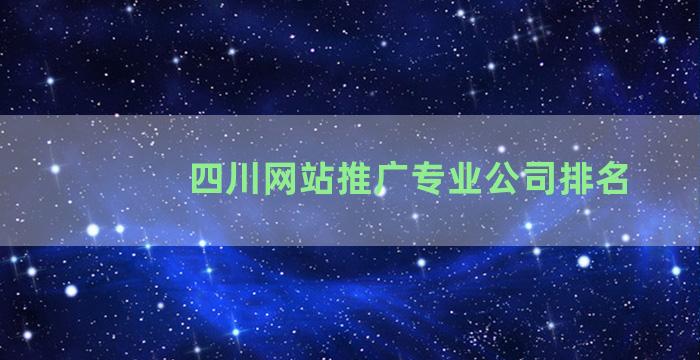 四川网站推广专业公司排名