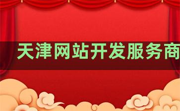 天津网站开发服务商排名