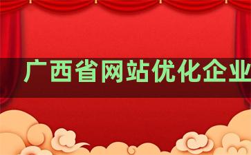 广西省网站优化企业排名