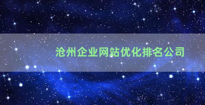 沧州企业网站优化排名公司