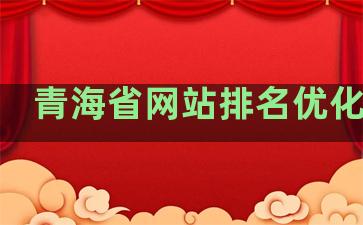 青海省网站排名优化公司
